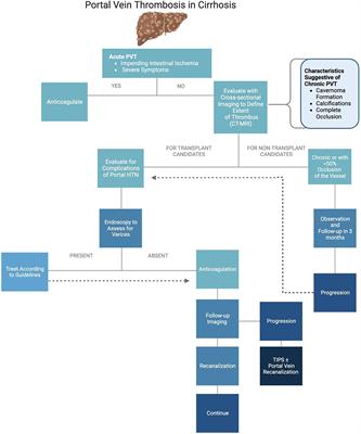 Portal vein thrombosis in cirrhosis: A literature review